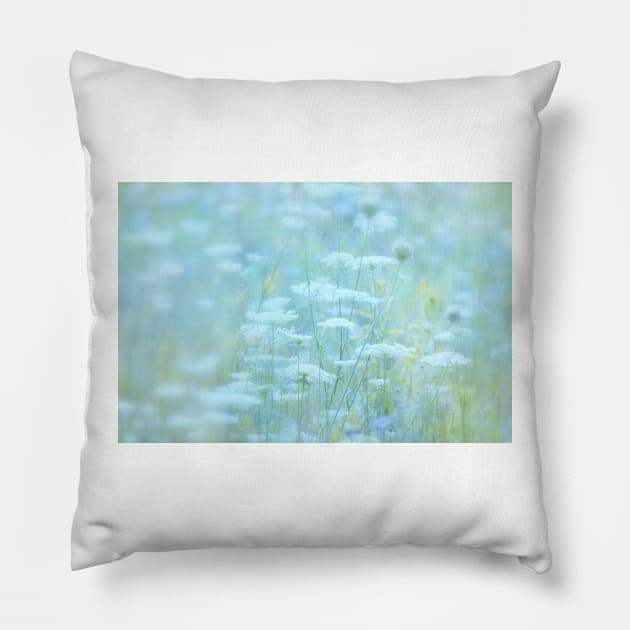 Queen Anne's Lace Pillow by LaurieMinor