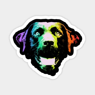 Rainbow Labrador Retriever Magnet