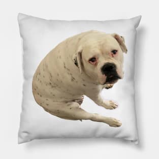 Fiona Pearl Pillow