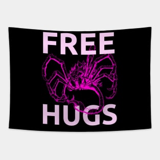 BFS - Free Hugs! - Pink Tapestry