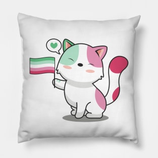 Cute Cat Holding Abrosexual Pride Flag Pillow