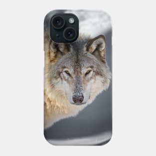 Gray Wolf Phone Case