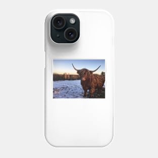 Scottish Highland Cattle Cow 2233 Phone Case