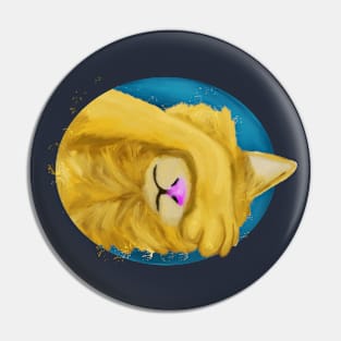 Sleeping cat Pin