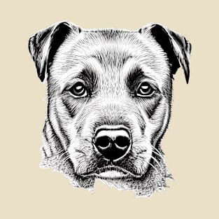 German Labrador Sketch T-Shirt