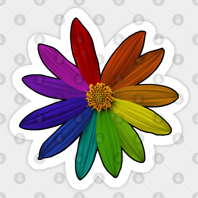 flower color wheel rainbow