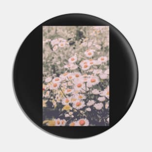 Wild Summer Daisies Pin