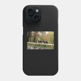 C and O Canal Mules Phone Case