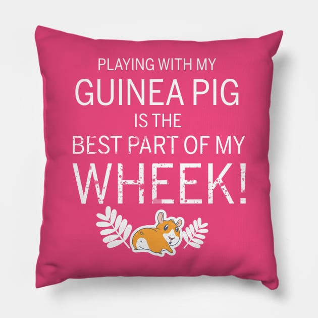 Guinea Pig Lover | Playing all day with my bestie Pillow by CathyStore