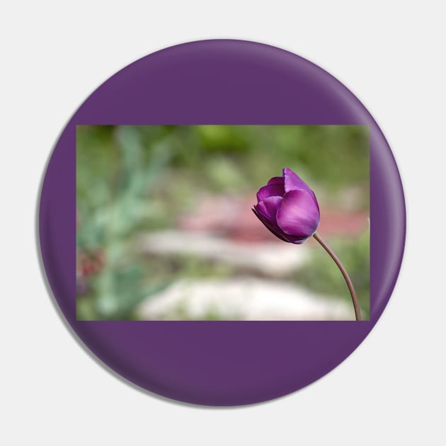 Not afraid to be alone, purple tulip flower altered photography Pin by KINKDesign