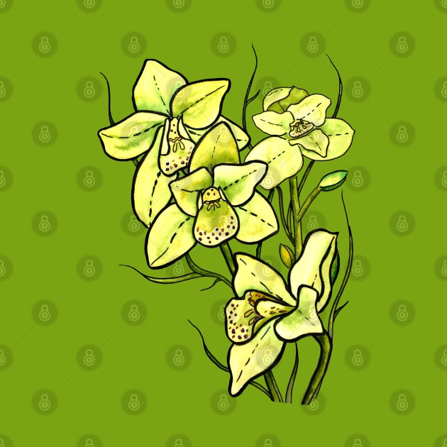 Green Orchid by Kirsty Topps