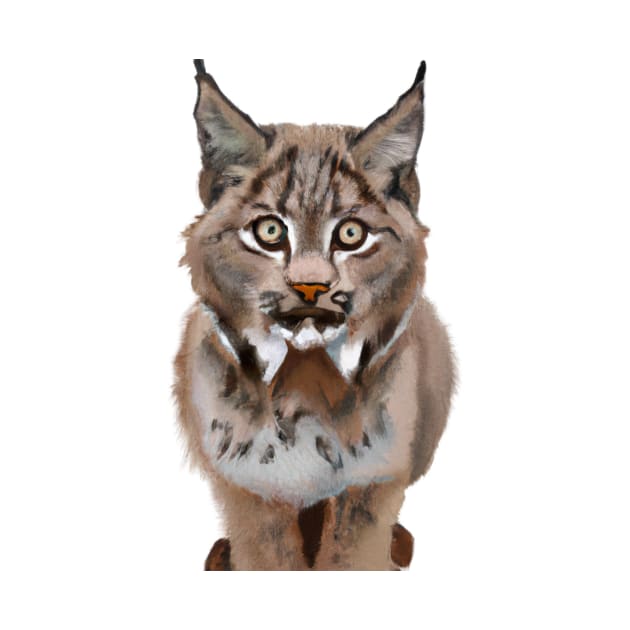 Cute Canada Lynx Drawing by Play Zoo