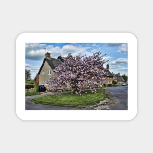 Ashby St Ledgers thatched cottages Magnet