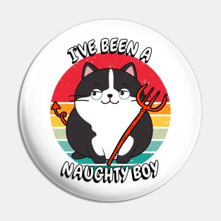 Cute fat Cat is a naughty boy Pin