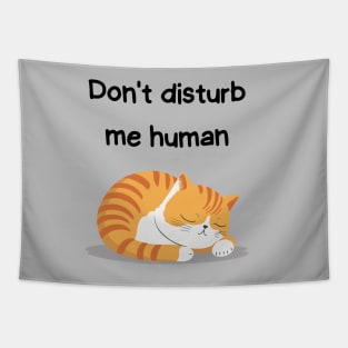 Sleeping Affirmation - Don't disturb me human | Cat Lover Gift | Law of Attraction | Positive Affirmation | Self Love Tapestry