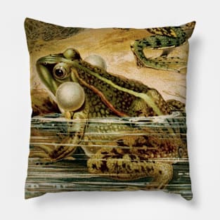 Cottagecore Aesthetic Green Frogs Pillow