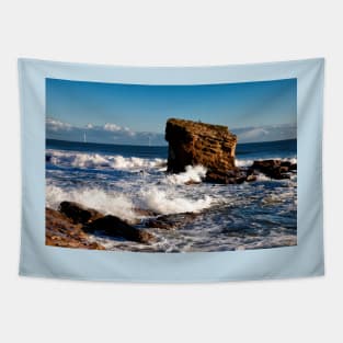 Stormy Sea around Charlie's Garden Tapestry