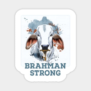 Brahman Strong Magnet