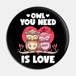 Owl You Need Is Love Adorable Owl Puns Couple Valentines Day Pin