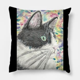 Cute cat face colorful painting Pillow