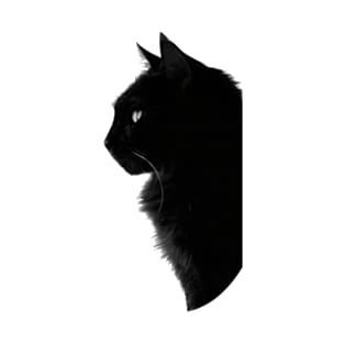 Beautiful black cat silhouette T-Shirt