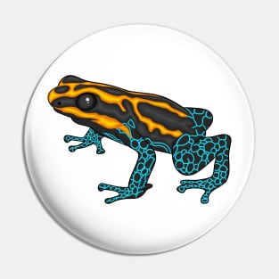 Poison dart frog cartoon illustration Pin