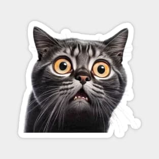 Funny Scared Cat Face, Cat Lover, Scaredy Cat Magnet