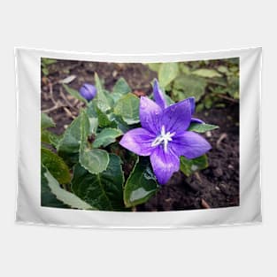 balloon flower Tapestry