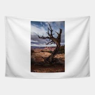 Desert Dancer at Canyonlands National Park Tapestry