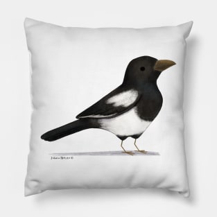 Eurasian Magpie Pillow