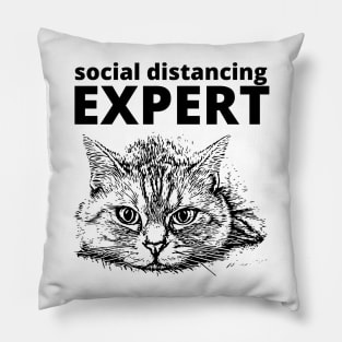 Social distancing expert Pillow