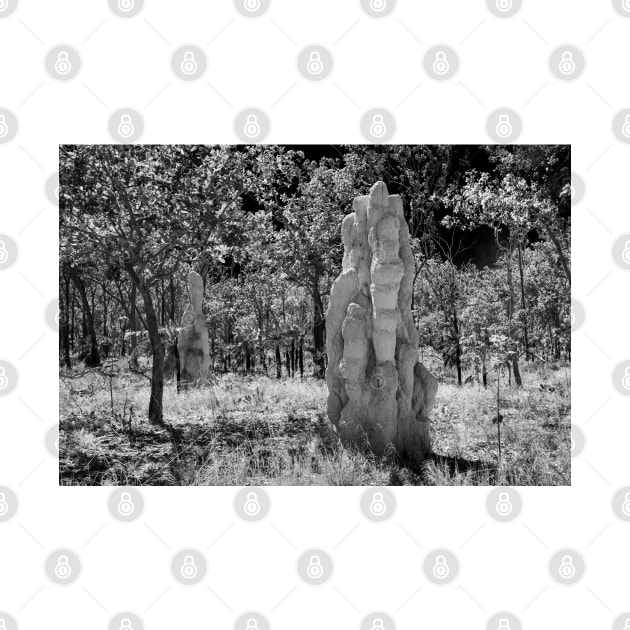 Termite Mounds 01 by fotoWerner