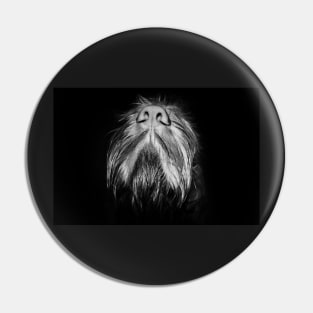 Italian Spinone Nose Pin