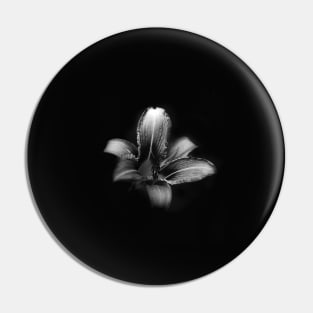 Flower with Black Background Pin