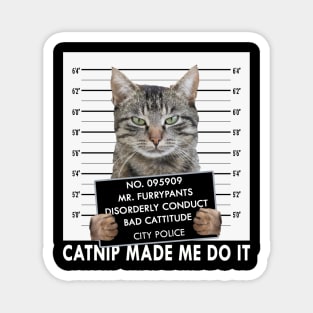 Catnip Made Me Do It Funny Cat Magnet