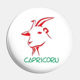 Capricorn Pin