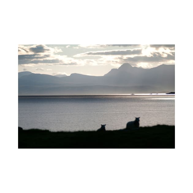 Sheep return to graze - Isle of Skye, Scotland by richflintphoto