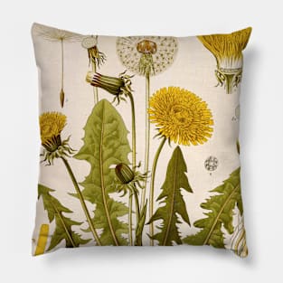 Dandelion Flower Growth Phases Pillow