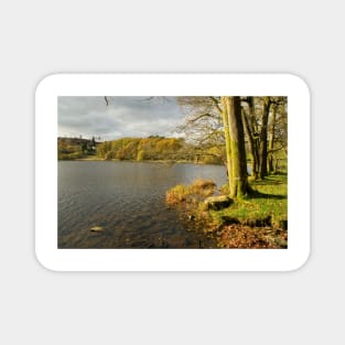 Loughrigg Tarn Magnet