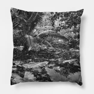 Vintage photo of Amazon Rainforest Pillow