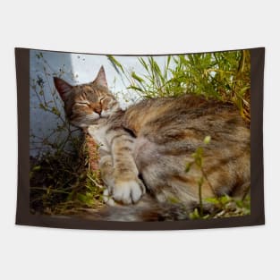 Female cat in the garden Tapestry