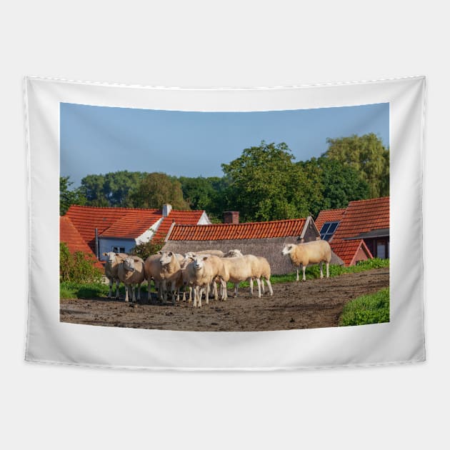 Sheep on the dike, Elsfleth Tapestry by Kruegerfoto