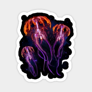 Jellyfish, Swimming In The Ocean Magnet