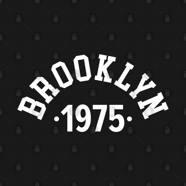 Brooklyn Chronicles: Celebrating Your Birth Year 1975 by Boogosh