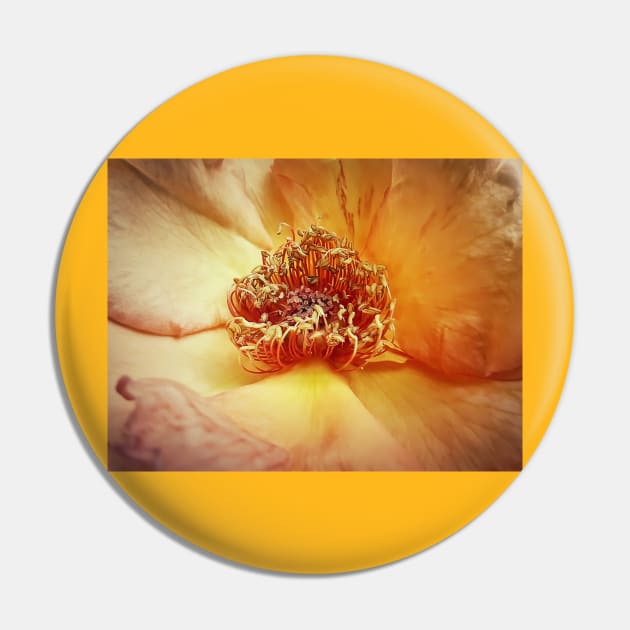 yellow rose Pin by psychoshadow