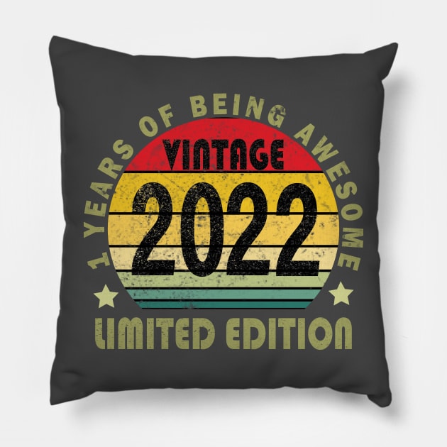 Kids 1 Year Old Gifts Vintage 2022 Limited Edition 1st Birthday Pillow by MARBBELT