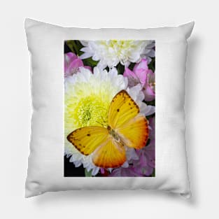 Large Yellow Butterfly On With Mum Pillow