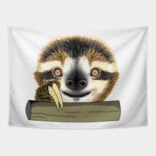 Cute two-toed sloths with smile face classic Tapestry