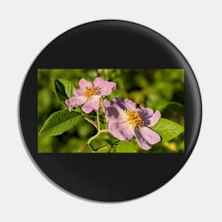 Pink Flowers in Field 2 Pin