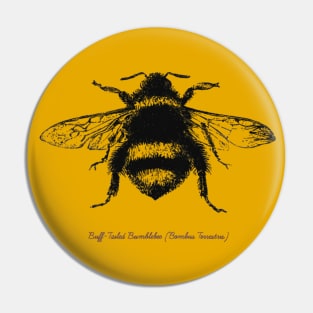 Bumblebee - Illustration in black Pin